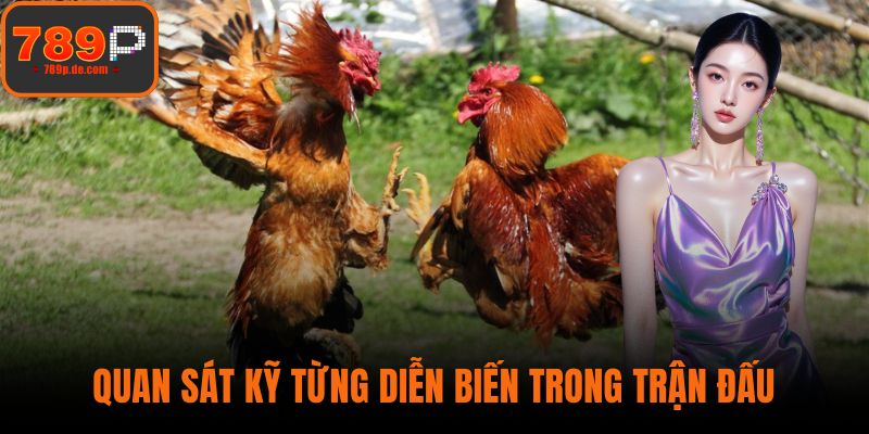 Quan sát kỹ từng diễn biến trong trận đấu