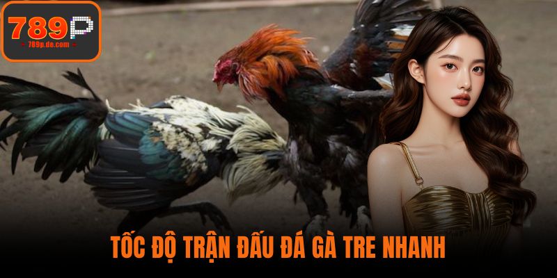 Tốc độ trận đấu đá gà tre nhanh